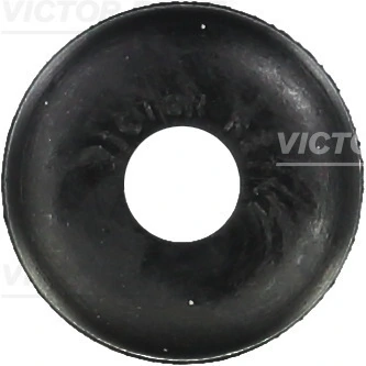 Seal Ring, valve stem